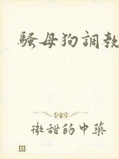 骚母狗调教h