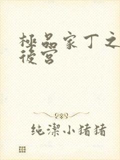 极品家丁之萧壮后宫