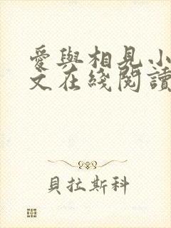 爱与相见小说全文在线阅读封面