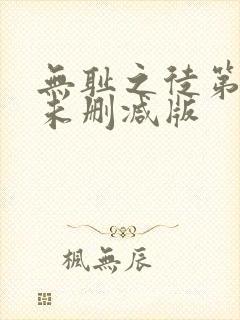 无耻之徒第9季未删减版