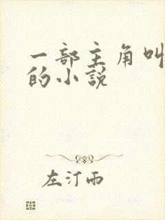 一部主角叫叶楚的小说