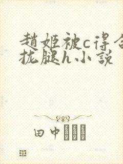 赵姬被c得合不拢腿h小说