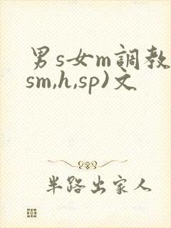 男s女m调教(sm,h,sp)文