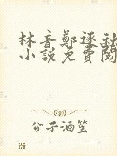 林音郑逐秋训诫小说免费阅读