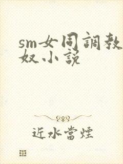 sm女同调教女奴小说