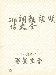 sm调教视频网站大全