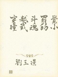 穿越斗罗觉醒重瞳武魂的小说