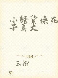 小骚货操死你奶子真大封面