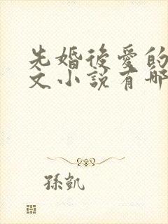 先婚后爱的高干文小说有哪些