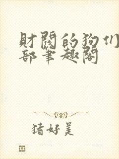 财阀的狗们第一部笔趣阁