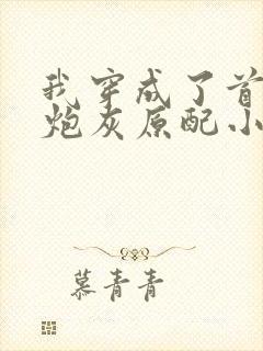 我穿成了首辅的炮灰原配小说