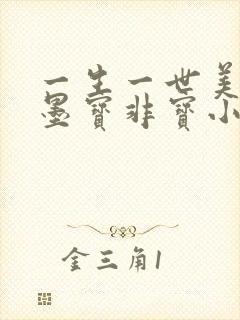 一生一世美人骨墨宝非宝小说全文免费