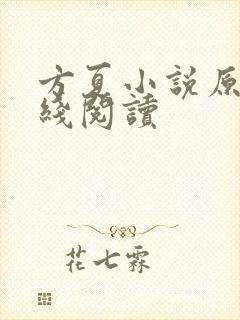 方夏小说原著在线阅读封面