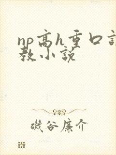 np高h重口调教小说