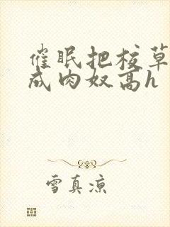 催眠把校草调教成肉奴高h