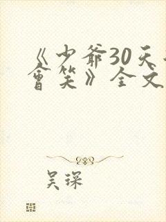 《少爷30天后会笑》全文免费阅读
