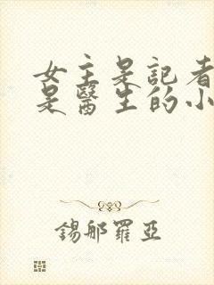 女主是记者男主是医生的小说