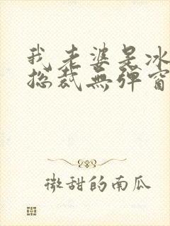 我老婆是冰山女总裁无弹窗免费