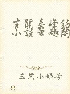 有关秦峰的官场小说笔趣阁