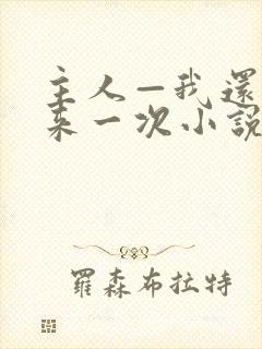 主人—我还想再来一次小说免费阅读封面