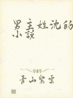 男主姓沈的言情小说