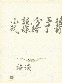 小说,分手后,我嫁给了前男友的小叔