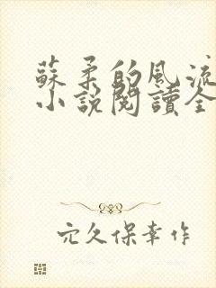 苏柔的风流人生小说阅读全文封面