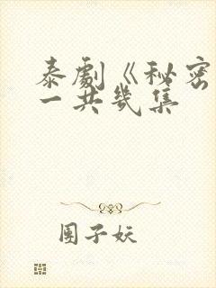 泰剧《秘密爱》一共几集封面