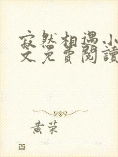 寂然相遇小说全文免费阅读