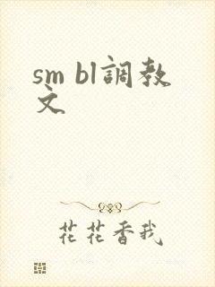 sm bl调教文封面