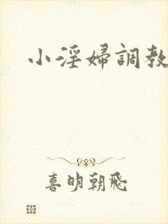 小淫妇调教