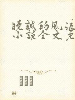 晓诚的风流人生小说全文免费阅读最