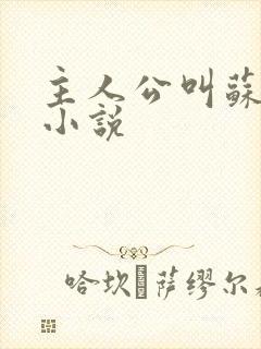 主人公叫苏尘的小说