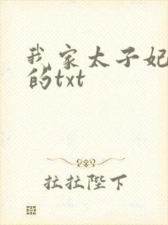 我家太子妃超凶的txt封面