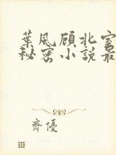 叶风顾北室友的秘密小说最新章节更