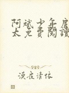 阿斌少年房东太太免费阅读小说全文下载