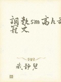 调教sm高h甜宠文封面