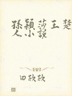 孙颖莎王楚钦同人小说