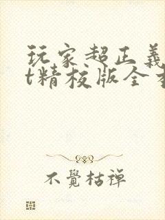 玩家超正义txt精校版全本