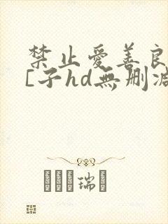 禁止爱善良的小[子hd无删减播放封面