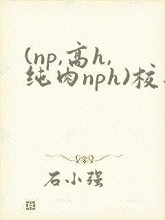(np,高h,纯肉nph)校园