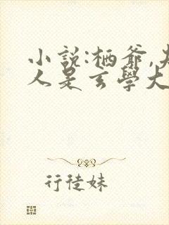 小说:栖爷,夫人是玄学大佬