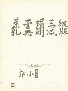 叶子楣三级露全乳无删减版封面