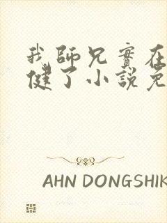 我师兄实在太稳健了小说免费阅读的封面