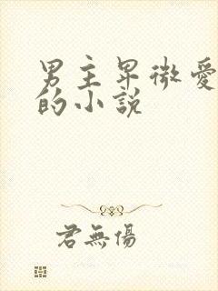 男主卑微爱女主的小说