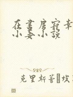 在书房宠幸夫人小妾小说