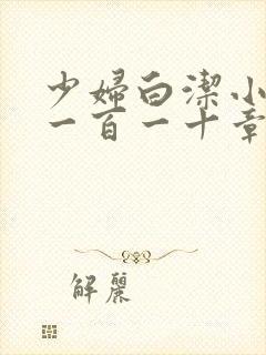 少妇白洁小说第一百一十章封面