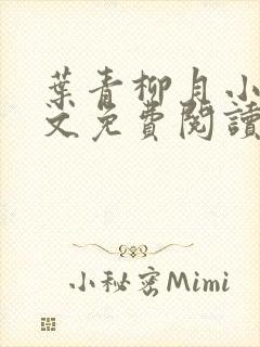 叶青柳月小说全文免费阅读无弹窗