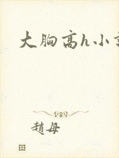 大胸高h小说