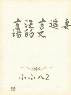 有没有追妻火葬场的文